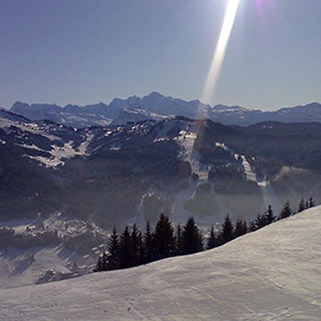 Les Gets Le Grand Paradis Extérieur photo